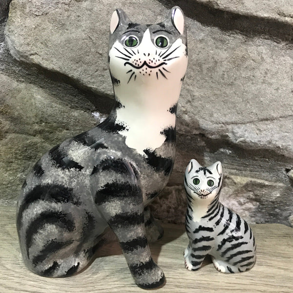 Tabby Tiny Cat