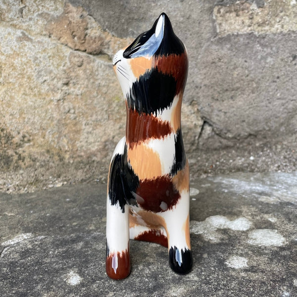 Calico Small Cat
