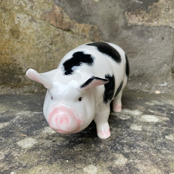 Black and White Standing Pig