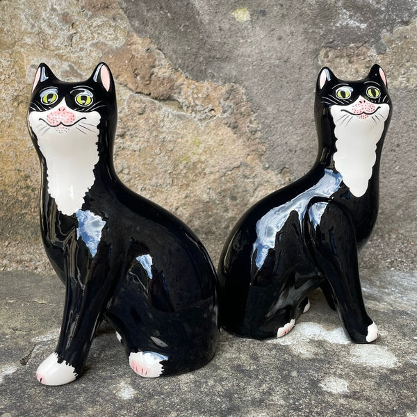 Black with White Bib Small Cat