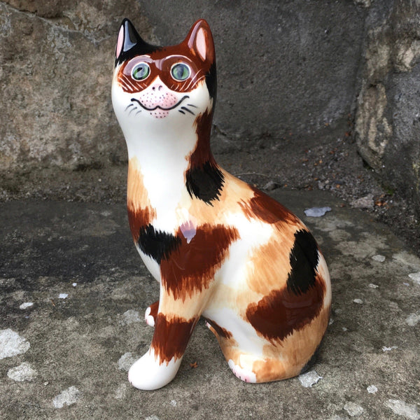 Calico Small Cat
