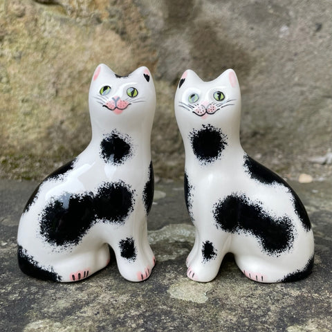 Black and White Tiny Cat