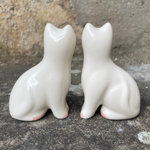 Earlshall Tiny Cat