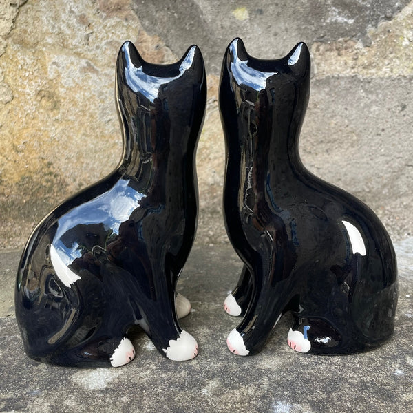 Black with White Bib Small Cat