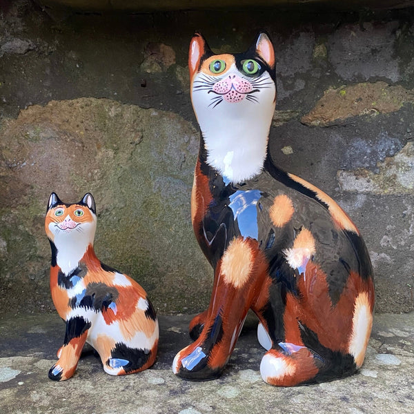 Calico Small Cat