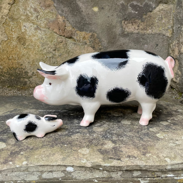 Black and White Tiny Pig