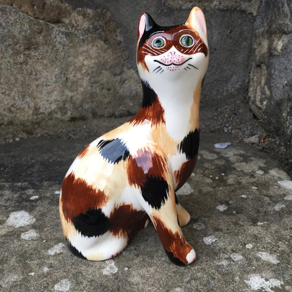 Calico Small Cat