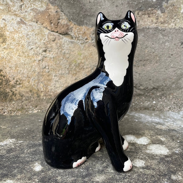 Black with White Bib Small Cat