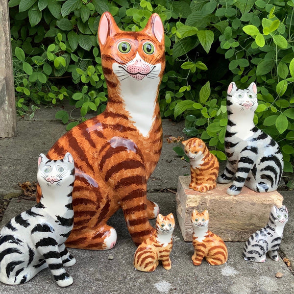 Tabby Tiny Cat