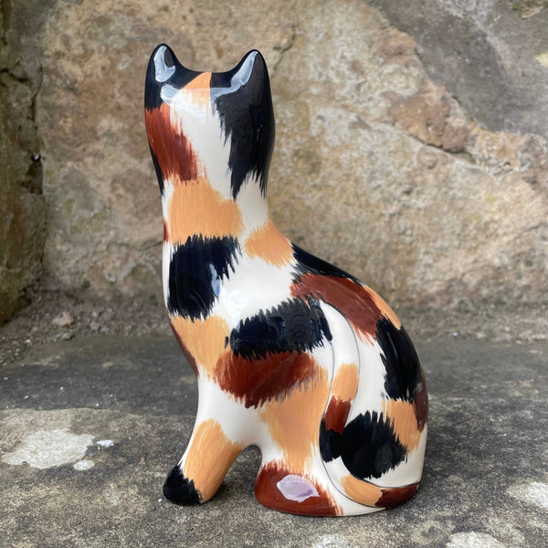 Calico Small Cat