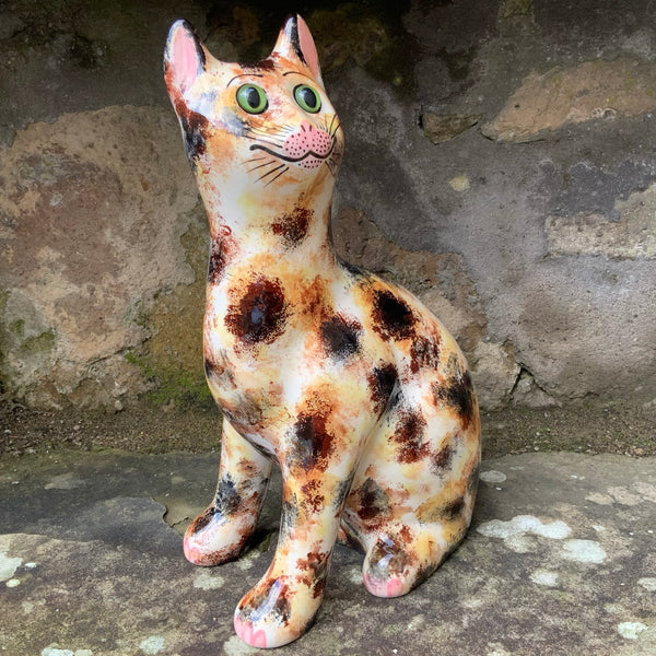 Light Tortoiseshell Large Cat