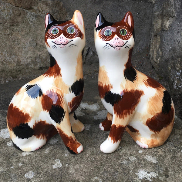 Calico Small Cat