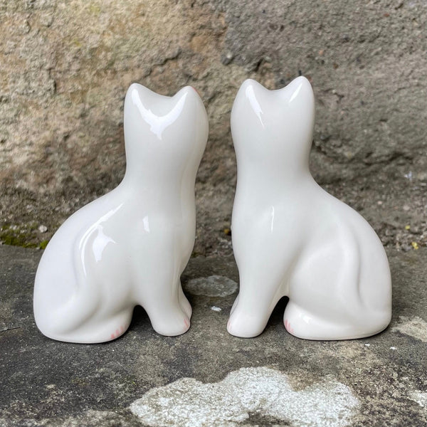 White Daffodil Tiny Cat