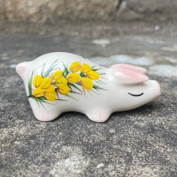 Gorse Tiny Pig