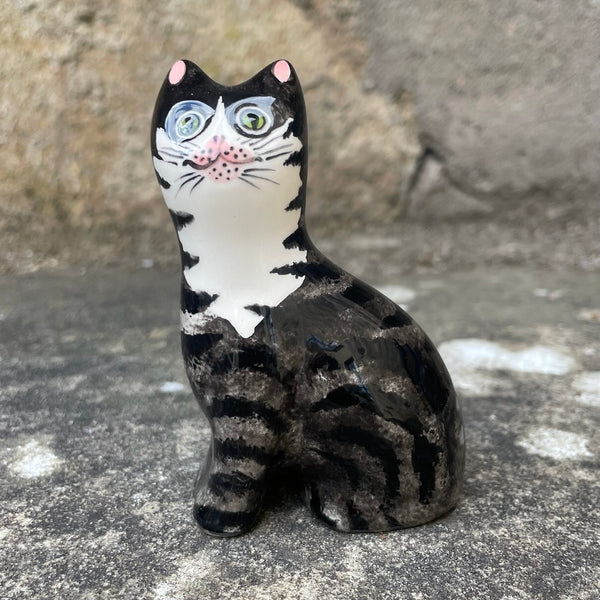 Tabby Tiny Cat