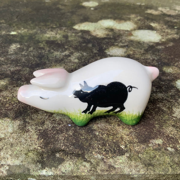 Pig Tiny Pig