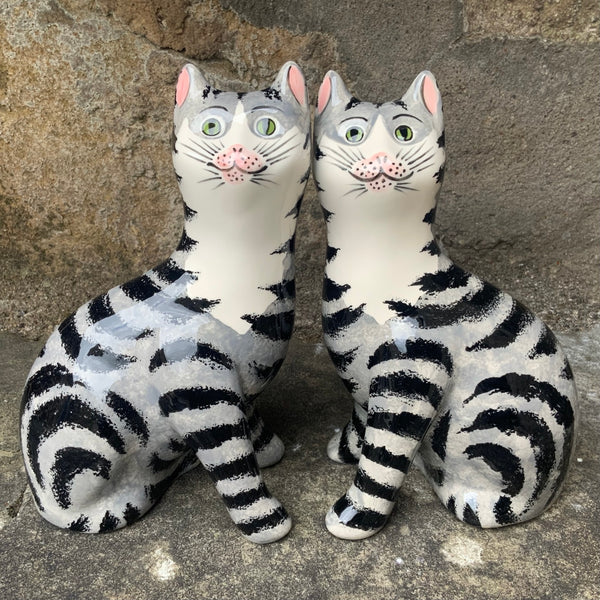 Tabby Small Cat