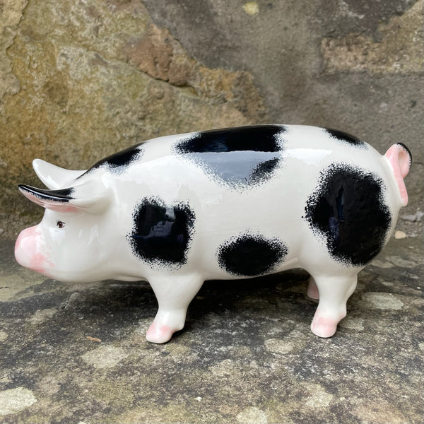 Black and White Standing Pig