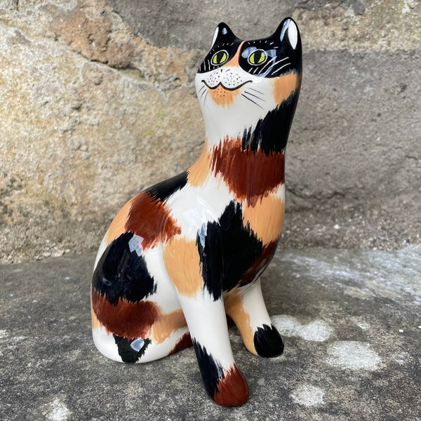 Calico Small Cat