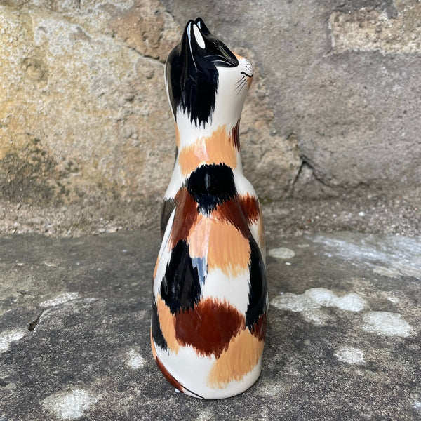 Calico Small Cat