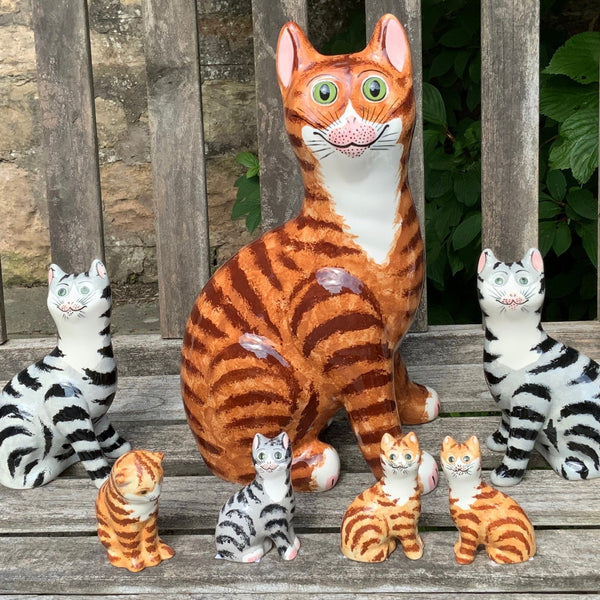 Tabby Tiny Cat