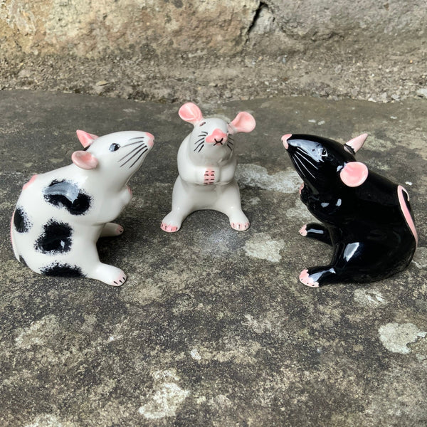 White Mouse