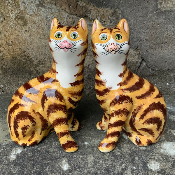 Ginger Tabby Small Cat