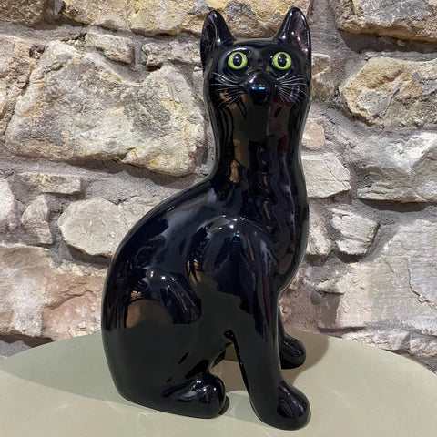 Black Large Cat
