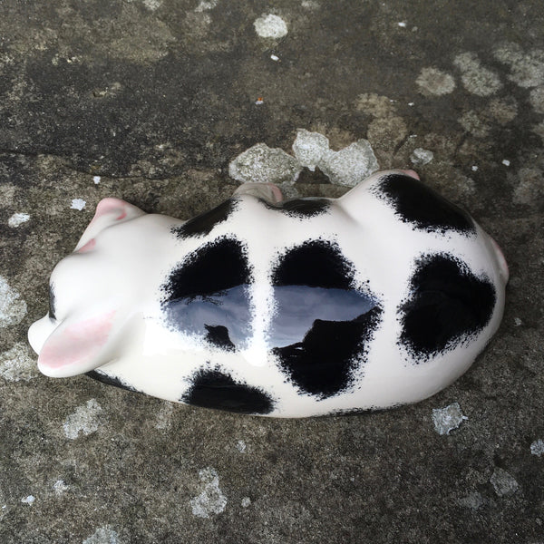 Black and White Sleeping Piglet