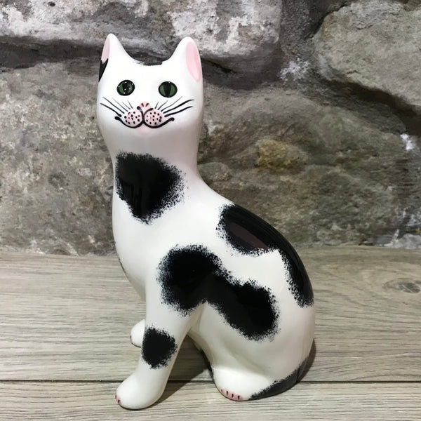 Black and White Small Cat