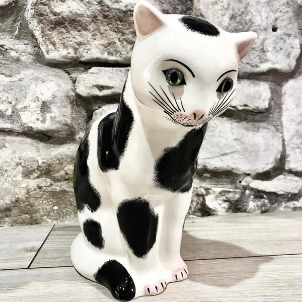 Black and White Medium Thinking Cat