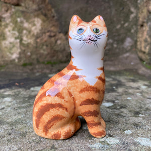 Ginger Tabby Tiny Cat