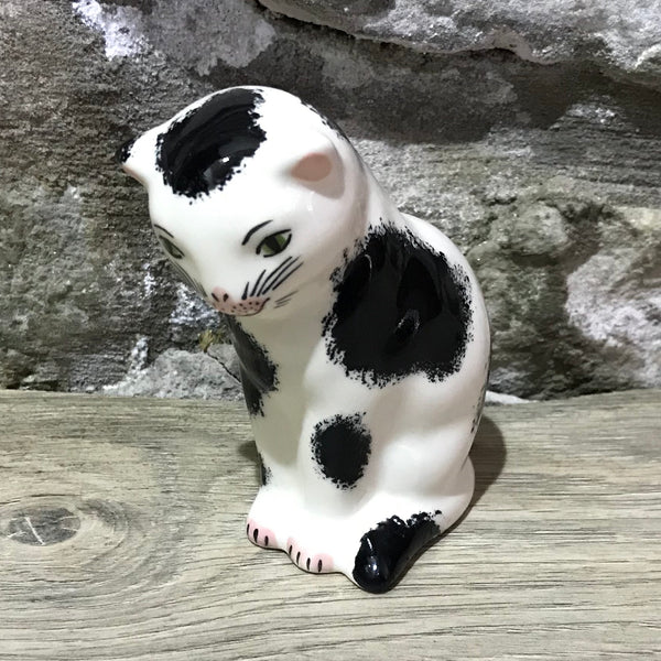 Black and White Small Thinking Cat