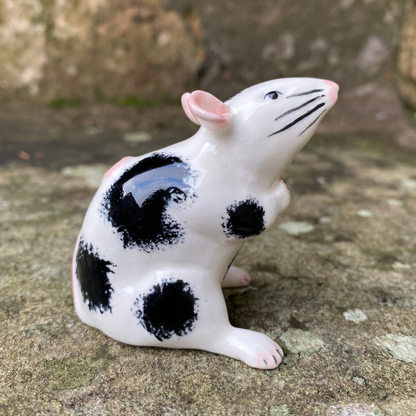 Black and White Mouse