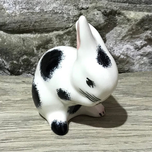 Black and White Tiny Rabbit