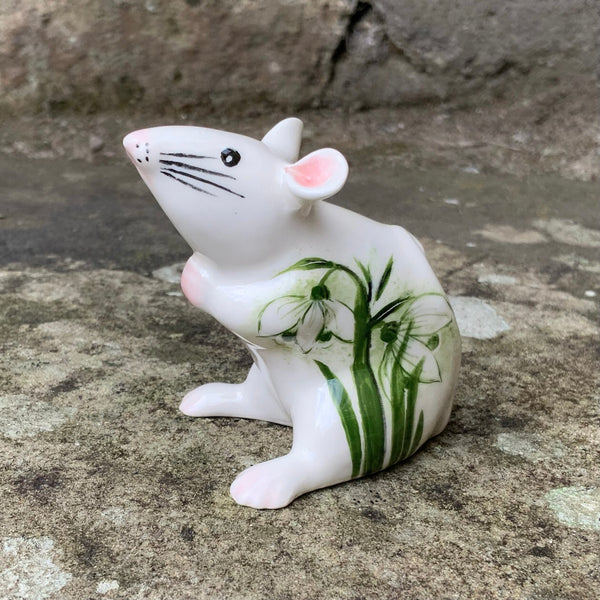 Snowdrop Mouse