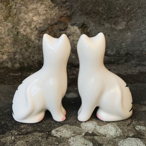 Robin and Holly Tiny Cat