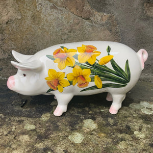 Daffodil Standing Pig