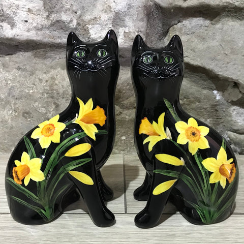 Daffodil Black Background Small Cat