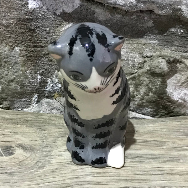 Grey Tabby Small Thinking Cat