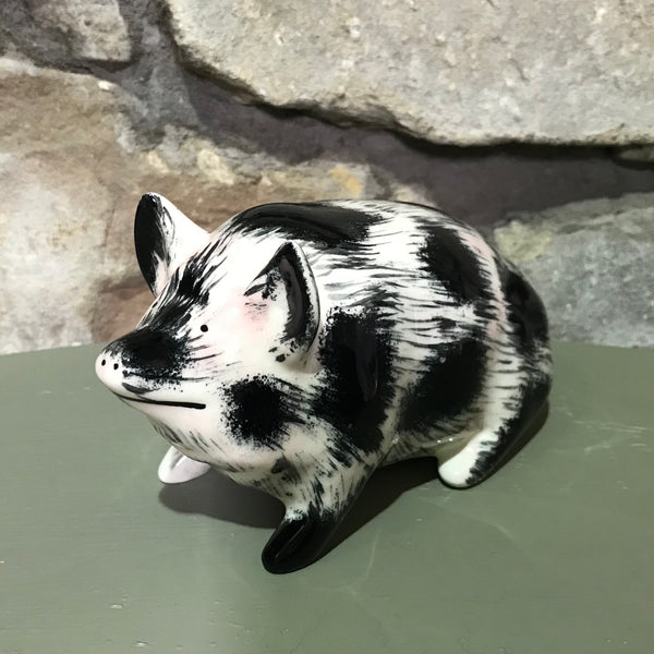'Dirty' Black and White Small Pig